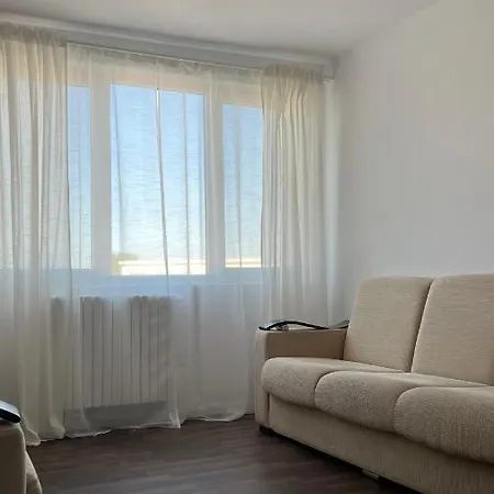 公寓 Central Apartment *